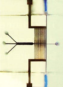 Lfw 2003 12 Buried Lfw 2003 12 Buried