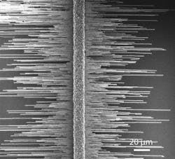 Scanning electron microscopy (SEM) top view of actual horizontally grown nanowires. Scanning electron microscopy (SEM) top view of actual horizontally grown nanowires.