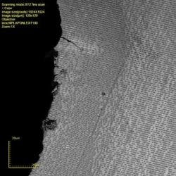 Nb Olympus Dvd Image Fig Left Web Nb Olympus Dvd Image Fig Left Web