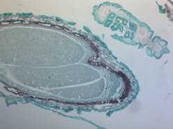 Nb Story3 Tunable Filter Web Nb Story3 Tunable Filter Web