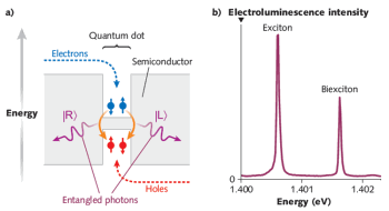 A schematic representation of the entangled LED (ELED) semiconductor structure with a single quantum dot at its core (a) shows the generation of entangled photon pairs through a biexciton cascade. Electrons (blue) and holes (red) are injected into the quantum dot by passing electrical current. Orange arrows represent recombination of the carriers and the purple arrows represent the ensuing entangled photon pair. The electroluminescence spectrum of the quantum dot (b) is shown under DC electrical injection.