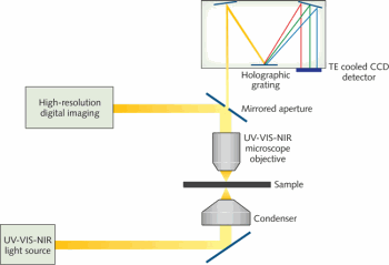 FIGURE 2. A schematic shows the generalized optical path for a microspectrophotometer configured for absorbance microspectroscopy and imaging.