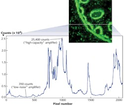 FIGURE 3. The use of dual amplifiers and dual A/D converters to process every pixel at high or low gain delivers an unprecedented dynamic range from a relatively small (6.5 μm) pixel pitch. The result is evident in this image and an intensity line profile of a single row of pixels. FIGURE 3. The use of dual amplifiers and dual A/D converters to process every pixel at high or low gain delivers an unprecedented dynamic range from a relatively small (6.5 μm) pixel pitch. The result is evident in this image and an intensity line profile of a single row of pixels.