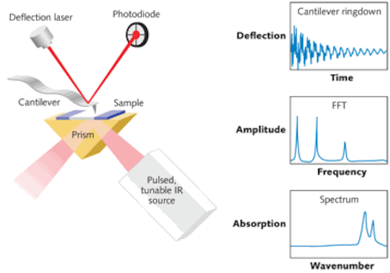 SPECTROSCOPY: AFM improves resolution of IR spectroscopy | Laser Focus ...