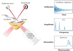 FIGURE 1. The AFM-IR technique combines an atomic force microscope with an IR spectrometer as shown in this schematic. After illumination with a pulsed OPO IR source, the cantilever ringdown characteristics from the sample provide both spectral and mechanical data about the sample. FIGURE 1. The AFM-IR technique combines an atomic force microscope with an IR spectrometer as shown in this schematic. After illumination with a pulsed OPO IR source, the cantilever ringdown characteristics from the sample provide both spectral and mechanical data about the sample.
