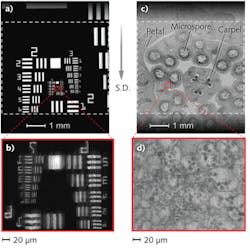 FIGURE 3. A holographic scanning microscope captures an image of a US Air Force target (a, b) and a lily anther (c, d), with an effective FOV of 6 × 5 mm. Expanded views of small sections are shown at bottom. Shadow artifacts (bottom left) resulted from crosstalk among the projected transmissions of the light spots. FIGURE 3. A holographic scanning microscope captures an image of a US Air Force target (a, b) and a lily anther (c, d), with an effective FOV of 6 × 5 mm. Expanded views of small sections are shown at bottom. Shadow artifacts (bottom left) resulted from crosstalk among the projected transmissions of the light spots.
