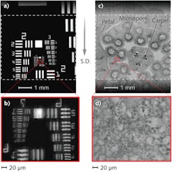 FIGURE 3. A holographic scanning microscope captures an image of a US Air Force target (a, b) and a lily anther (c, d), with an effective FOV of 6 × 5 mm. Expanded views of small sections are shown at bottom. Shadow artifacts (bottom left) resulted from crosstalk among the projected transmissions of the light spots. FIGURE 3. A holographic scanning microscope captures an image of a US Air Force target (a, b) and a lily anther (c, d), with an effective FOV of 6 × 5 mm. Expanded views of small sections are shown at bottom. Shadow artifacts (bottom left) resulted from crosstalk among the projected transmissions of the light spots.