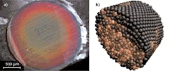 FIGURE 3. A darkfield microscopy image of a red-opal fiber in transverse cross-section shows concentric variations in structural color (a). The scale bar has a length of 500 μm. A schematic snapshot in time for a granular model of the polymer opal fiber uses a simulation with 5000 spheres (b); a darker color represents higher local order. FIGURE 3. A darkfield microscopy image of a red-opal fiber in transverse cross-section shows concentric variations in structural color (a). The scale bar has a length of 500 μm. A schematic snapshot in time for a granular model of the polymer opal fiber uses a simulation with 5000 spheres (b); a darker color represents higher local order.