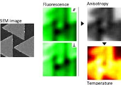 FIGURE 1. A temperature-mapping procedure is demonstrated on a 2 x 2 µm2 gold nanostructure (left, SEM image) heated under IR illumination. Two detectors adapted on a confocal microscope map the two polarization components (center) of the fluorescence emitted from the molecules surrounding the gold structure. From these two images, the anisotropy and the temperature variations throughout the medium of interest are rendered in real time (right). FIGURE 1. A temperature-mapping procedure is demonstrated on a 2 x 2 µm2 gold nanostructure (left, SEM image) heated under IR illumination. Two detectors adapted on a confocal microscope map the two polarization components (center) of the fluorescence emitted from the molecules surrounding the gold structure. From these two images, the anisotropy and the temperature variations throughout the medium of interest are rendered in real time (right).