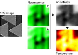 FIGURE 1. A temperature-mapping procedure is demonstrated on a 2 x 2 µm2 gold nanostructure (left, SEM image) heated under IR illumination. Two detectors adapted on a confocal microscope map the two polarization components (center) of the fluorescence emitted from the molecules surrounding the gold structure. From these two images, the anisotropy and the temperature variations throughout the medium of interest are rendered in real time (right). FIGURE 1. A temperature-mapping procedure is demonstrated on a 2 x 2 µm2 gold nanostructure (left, SEM image) heated under IR illumination. Two detectors adapted on a confocal microscope map the two polarization components (center) of the fluorescence emitted from the molecules surrounding the gold structure. From these two images, the anisotropy and the temperature variations throughout the medium of interest are rendered in real time (right).