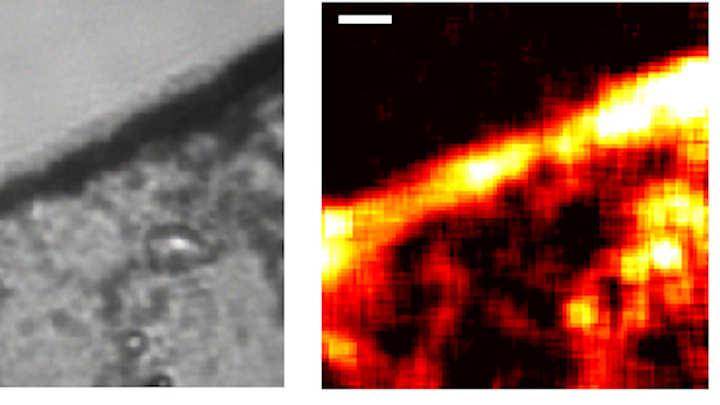 Plasmonics Fig4