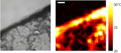 Plasmonics Fig4 Plasmonics Fig4