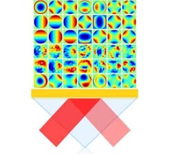 Quasi Fig Top Quasi Fig Top