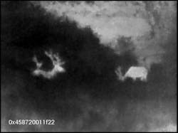 Deer are seen at night via a thermal image from a Seek thermal camera.