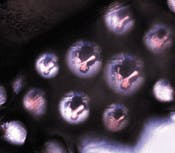 Th 0100news04 2 Th 0100news04 2