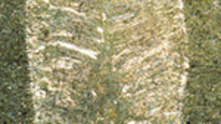 Th 0100news07