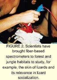 Th 0201feat1 4 Th 0201feat1 4