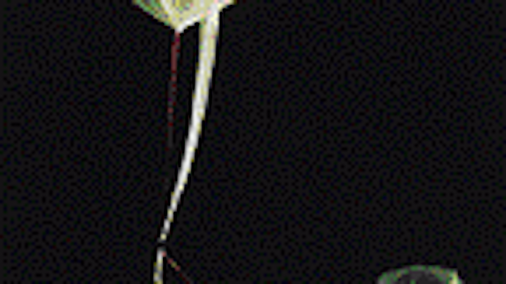Th 0400news11