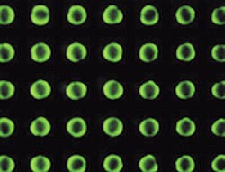 The 500-µm spots of polymer light-emitting material are inkjet-printed in one step. The 500-µm spots of polymer light-emitting material are inkjet-printed in one step.