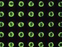 The 500-µm spots of polymer light-emitting material are inkjet-printed in one step. The 500-µm spots of polymer light-emitting material are inkjet-printed in one step.