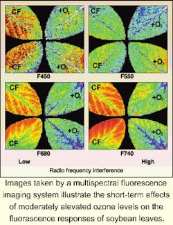 Th 0401news11 Th 0401news11