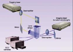 Th 0500feat08 2 Th 0500feat08 2