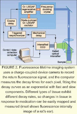Th 0500feat13 4 Th 0500feat13 4