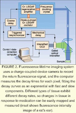 Th 0500feat13 4 Th 0500feat13 4