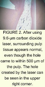 Th 0500medical1 2 Th 0500medical1 2