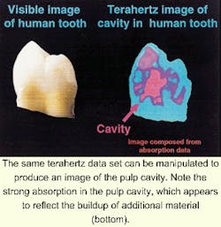 Th 0500medical2 2 Th 0500medical2 2