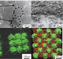 Th 0500news03 Th 0500news03