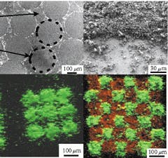 Th 0500news03 Th 0500news03