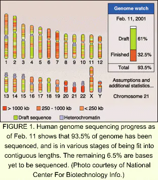 Genome Map