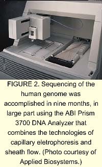 Th 0501feat04 03 Th 0501feat04 03
