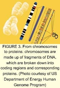 Th 0501feat04 05 Th 0501feat04 05