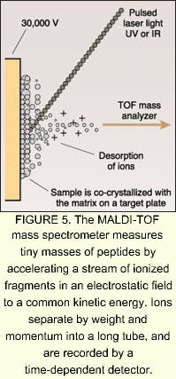 Th 0501feat04 07 Th 0501feat04 07