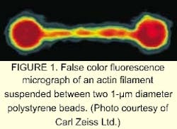 Th 0501news05 1 Th 0501news05 1