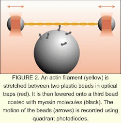 Th 0501news05 2 Th 0501news05 2