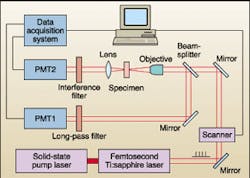 Experimental setup for TPF and SHG imaging can operate simultaneously in transmission and reflection modes. Applications that may benefit include the imaging of biological specimens such as DNA and chromosomes. Experimental setup for TPF and SHG imaging can operate simultaneously in transmission and reflection modes. Applications that may benefit include the imaging of biological specimens such as DNA and chromosomes.