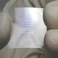 Th 0502lfwn3r Th 0502lfwn3r