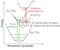 FIGURE 2. Professor Wolfgang Kiefer and coworkers have probed the excited-state dynamics of beta carotene by the use of population grating spectroscopy. FIGURE 2. Professor Wolfgang Kiefer and coworkers have probed the excited-state dynamics of beta carotene by the use of population grating spectroscopy.