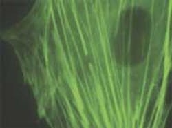 Th 0503lfwn7 Th 0503lfwn7