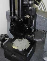 Th 0503lfwtamar Th 0503lfwtamar