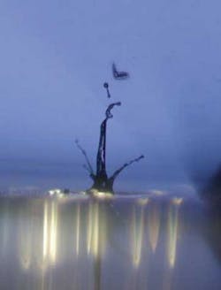 FIGURE 3. When the beam from an ultrafast laser is focused through a microscope, the intensity of the pulse triggers the formation of nonlinear plasma. This approach can be used to target and manipulate almost anything in a cell; here the technique is used to catapult a C. elegans out of a culture fluid. FIGURE 3. When the beam from an ultrafast laser is focused through a microscope, the intensity of the pulse triggers the formation of nonlinear plasma. This approach can be used to target and manipulate almost anything in a cell; here the technique is used to catapult a C. elegans out of a culture fluid.