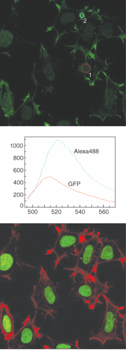 Th 0505lf09f2 Th 0505lf09f2