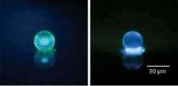 Cadmium sulfide/zinc sulfide nanocrystal-microsphere composites with a 20-&micro;m diameter fluoresce when illuminated by white light (left) and ultraviolet light (right). When illuminated by a Ti:sapphire laser above threshold, the microspheres lase in the blue at room temperature.