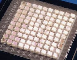 Th 0505lfwfoctek Th 0505lfwfoctek