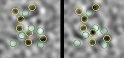 Similar patterns showing the correlation of atoms at different energy levels are evident in images of noise patterns taken immediately after molecules have been dissociated into entangled atom pairs. Patterns are actually shadow images of laser-light absorption by potassium atoms in two different groups, each at a different energy level. High concentrations of atoms absorbing light are circled in yellow; relatively low concentrations are circled in green. Similar patterns showing the correlation of atoms at different energy levels are evident in images of noise patterns taken immediately after molecules have been dissociated into entangled atom pairs. Patterns are actually shadow images of laser-light absorption by potassium atoms in two different groups, each at a different energy level. High concentrations of atoms absorbing light are circled in yellow; relatively low concentrations are circled in green.