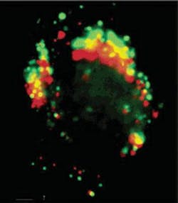 Th 0505lfwn12 Th 0505lfwn12