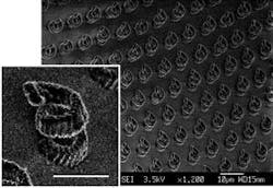 Th 0505lfwnbmultispot Th 0505lfwnbmultispot